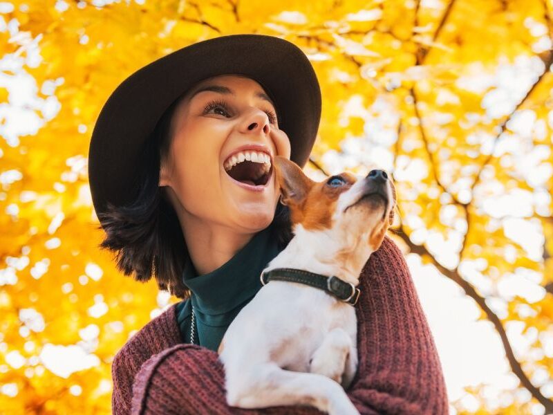 35 Fun Fall Bucket List Ideas For A Happy Season