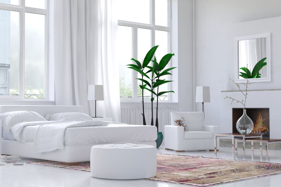 white minimalist room with bed, sofa, and a plant