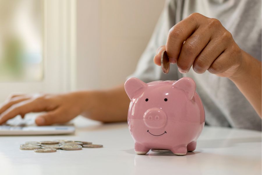 hand putting coins into a pink guinea pig