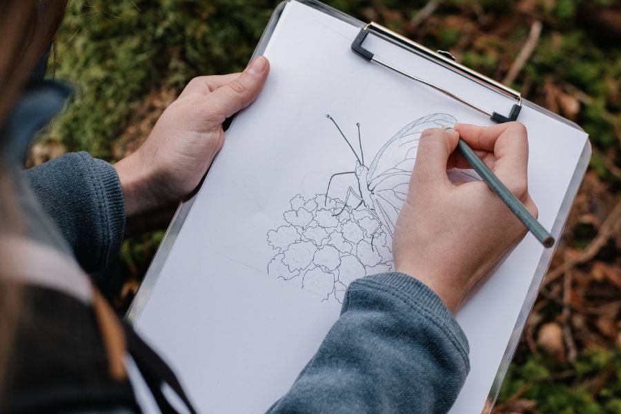 drawing butterfly on paper