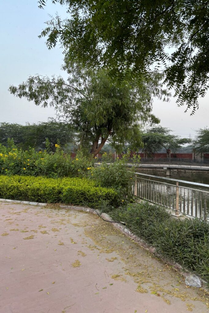 park with trees, grass, path, and lake in corner