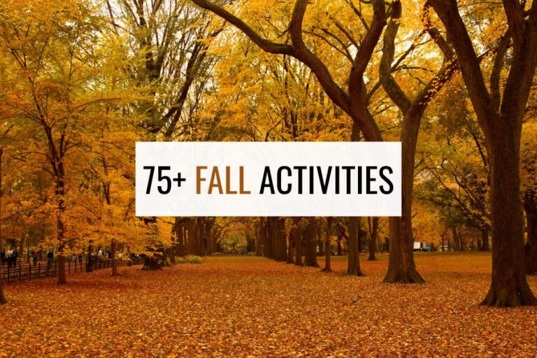 75+ Fall Activities To Make The Most Of This Season – Plum Healthy Fine