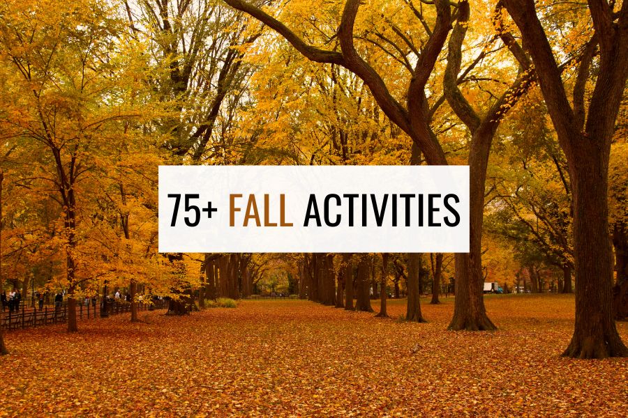 75+ Fall Activities