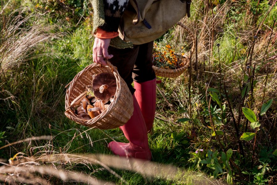 foraging in the wild with red boots on