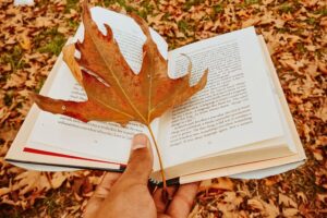 31 Things To Do Alone In Fall To Enjoy The Cozy Season On Your Own things to do alone fall