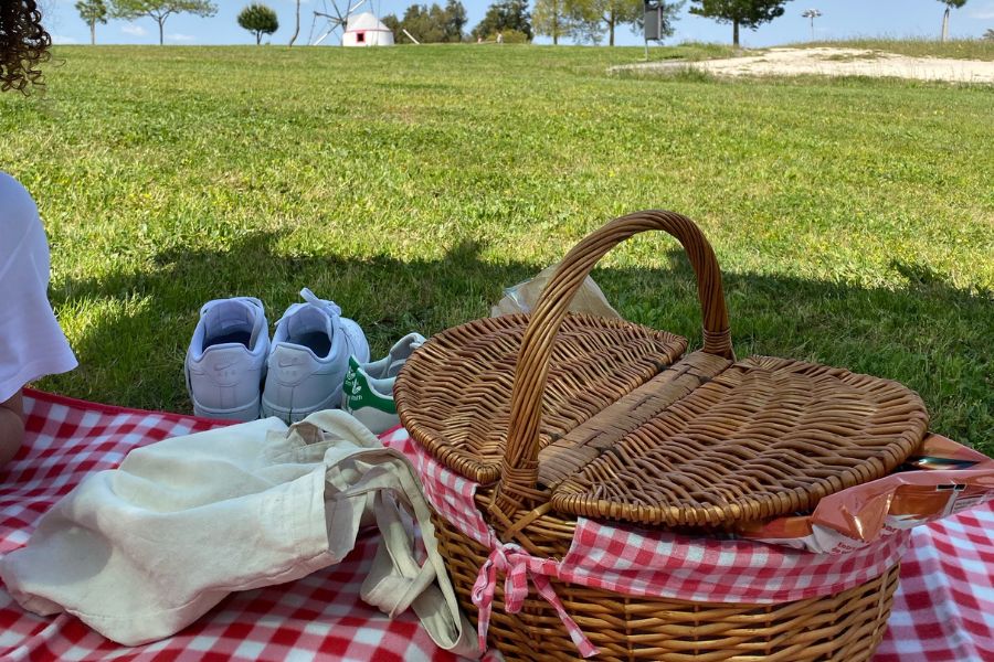 picnic basket and tote bag on red-white check picnic mat on grass