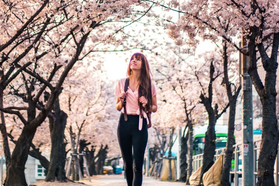 woman walking under cherry blossom trees in a pink top black jeans