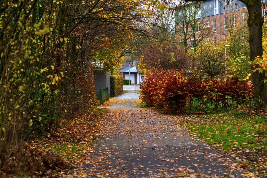 view of scenic autumn road